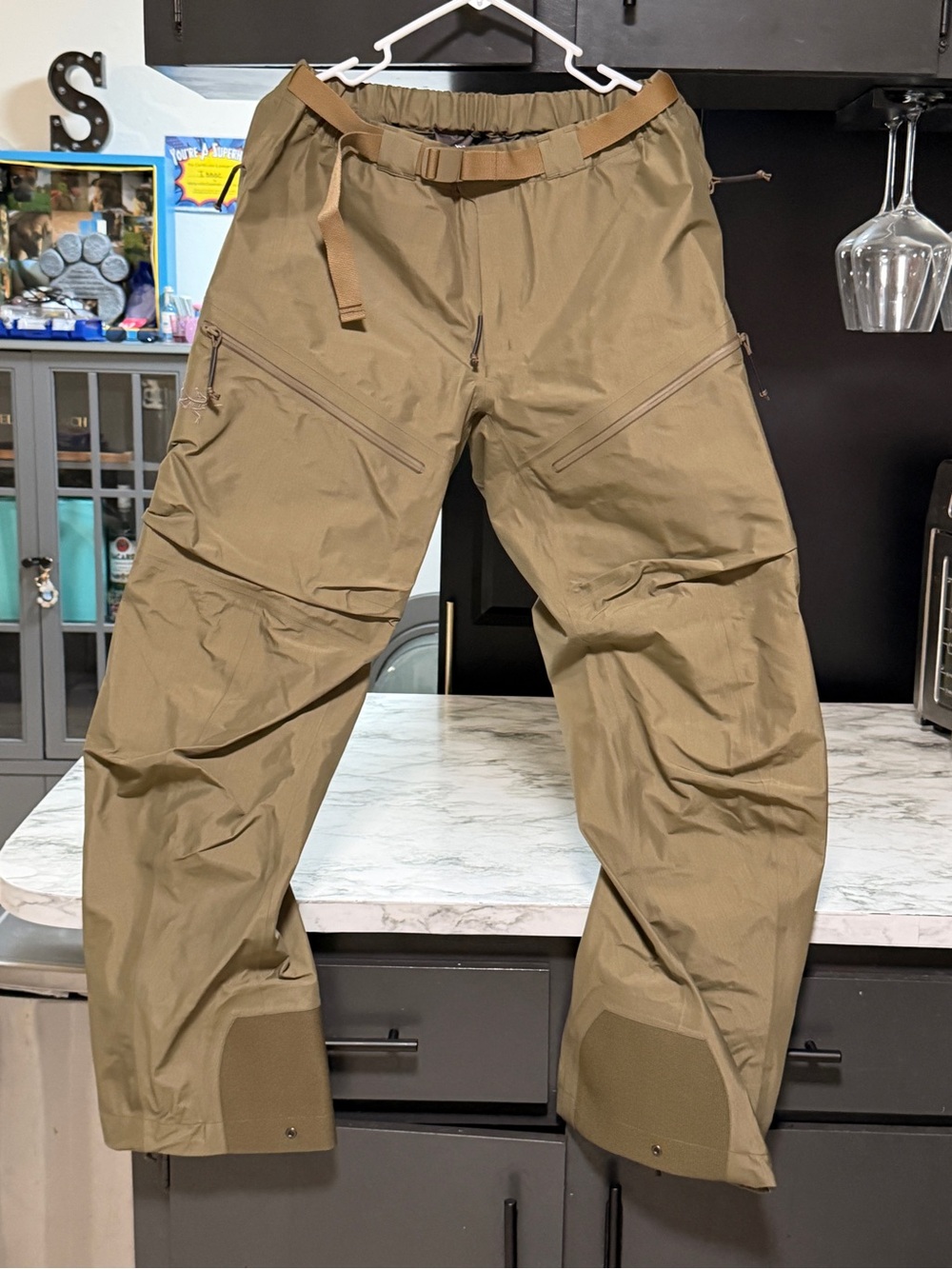 Arc'teryx Men's Cargo Pants in Olive/Khaki